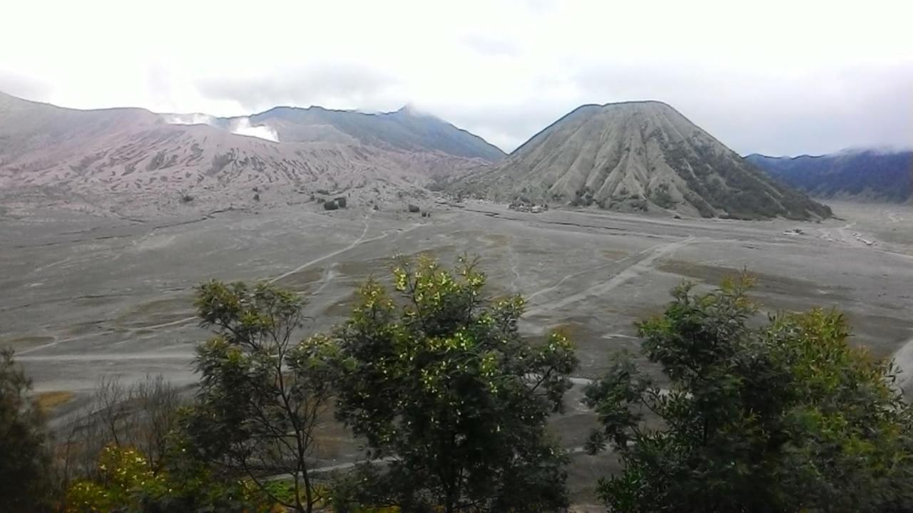 Mentigen Homestay Ngadisari Екстер'єр фото