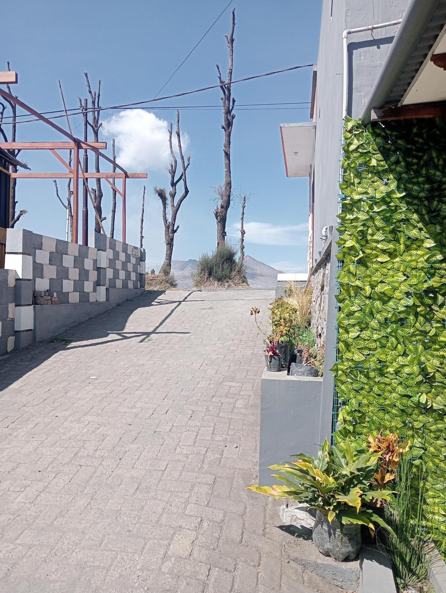 Mentigen Homestay Ngadisari Екстер'єр фото
